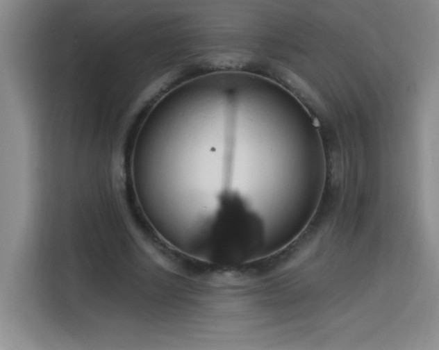 X0000113740634200909301012