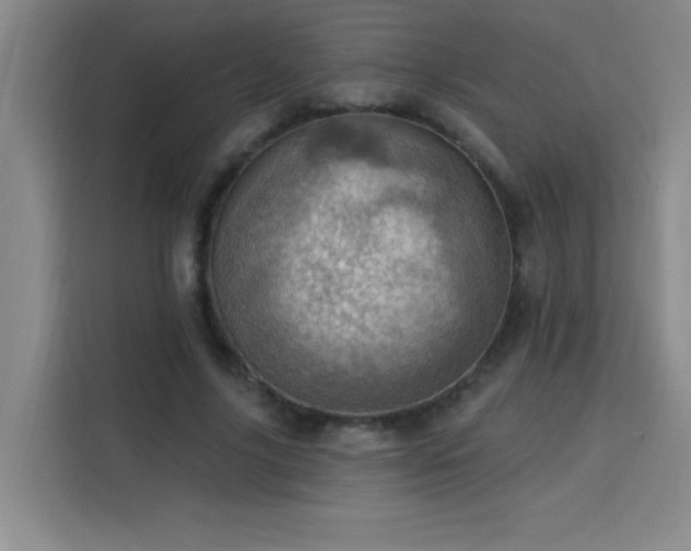 X0000113740635200909301012