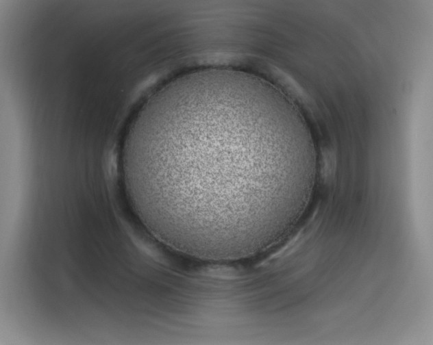 X0000113740636200909301012