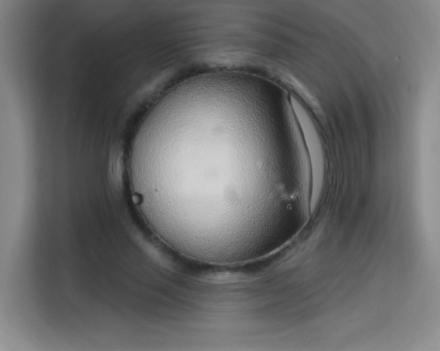 X0000113740637200909301012