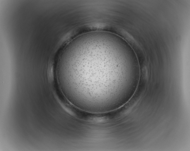 X0000113740638200909301012