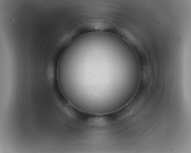 X0000113740639200909301012