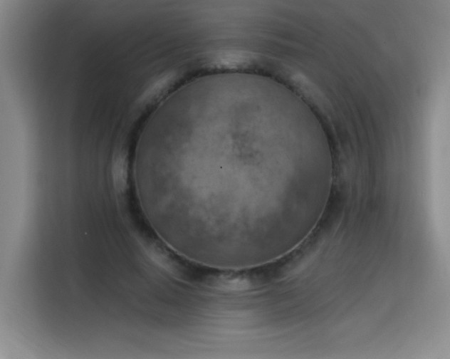 X0000113740640200909301012