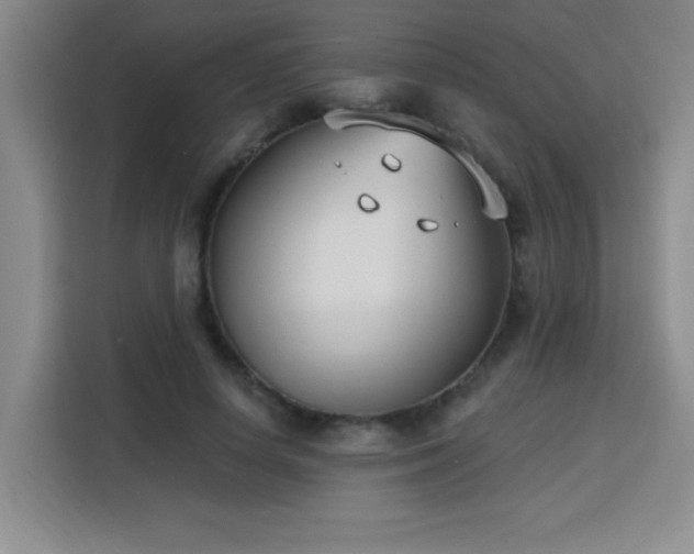 X0000113740642200909301012