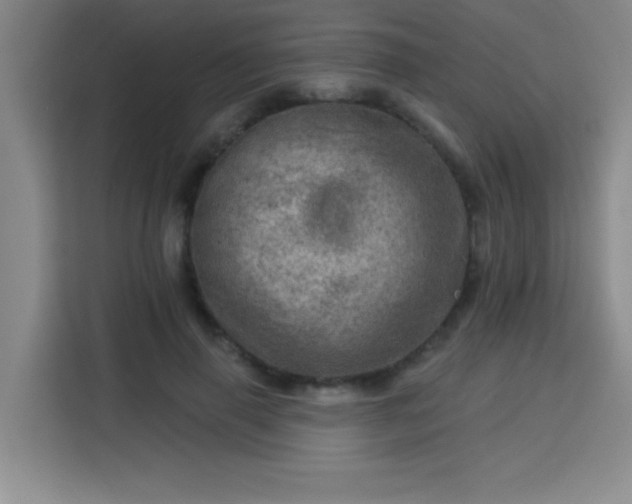 X0000113740645200909301012