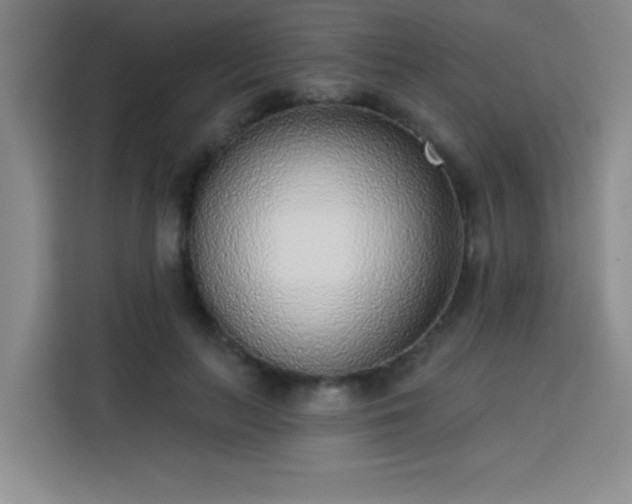 X0000113740647200909301012