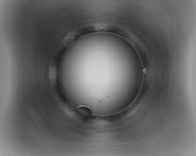 X0000113740648200909301012