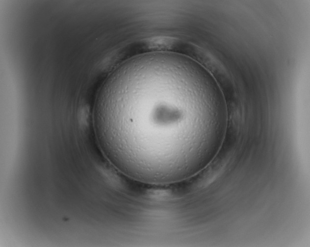 X0000113740649200909301012