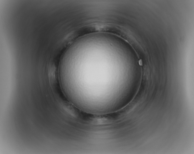 X0000113740650200909301012