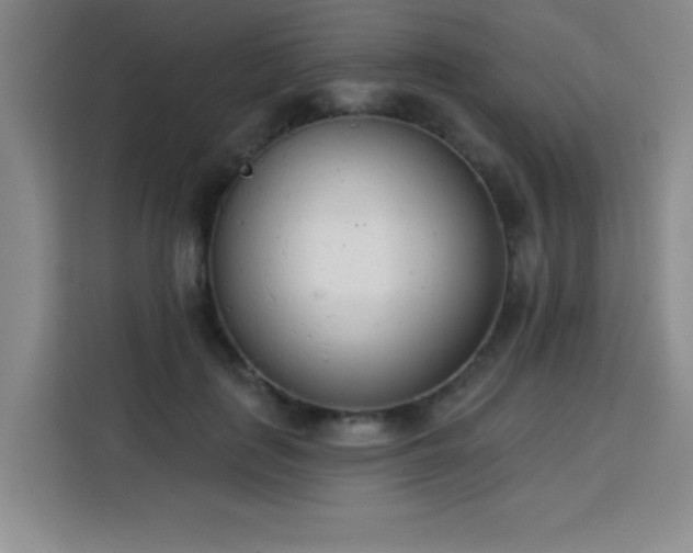 X0000113740651200909301012