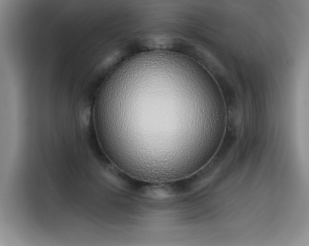 X0000113740652200909301012