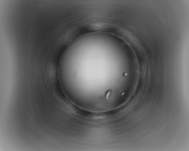 X0000113740653200909301012