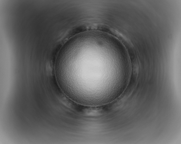 X0000113740661200909301012