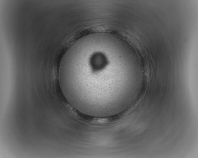 X0000113740665200909301012