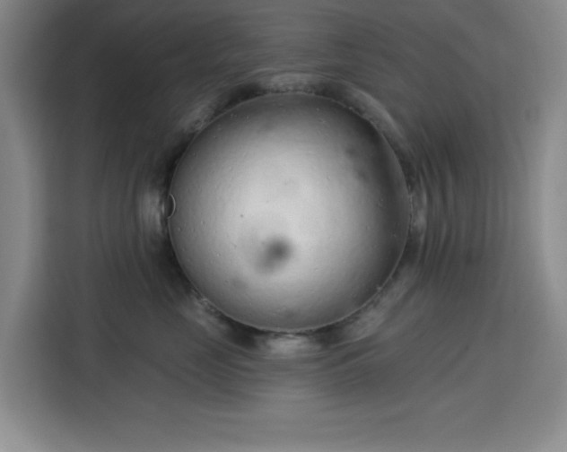 X0000113740669200909301012