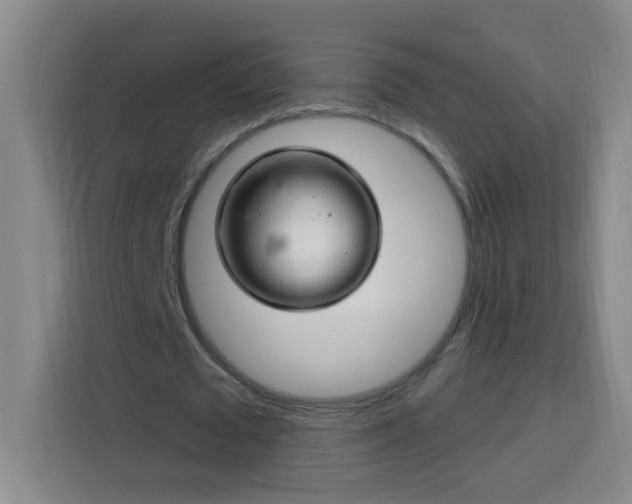 X0000113740673200909301012