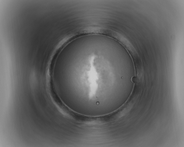 X0000113740674200909301012