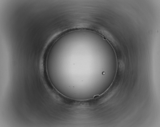 X0000113740676200909301012