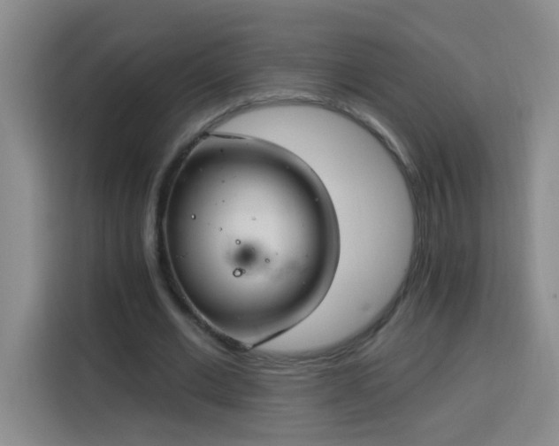 X0000113740677200909301012