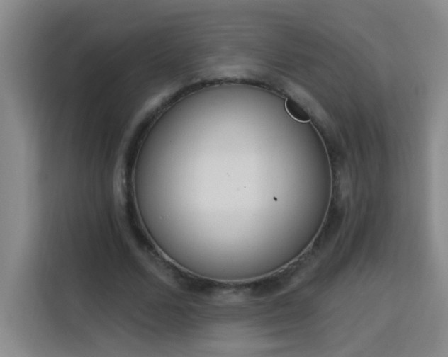 X0000113740680200909301012