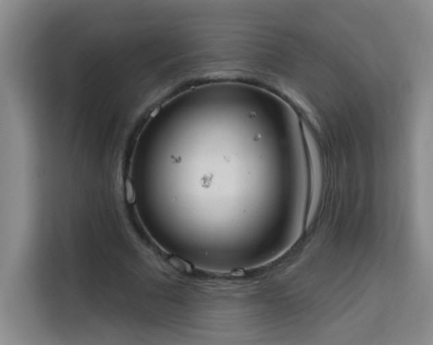 X0000113740681200909301012