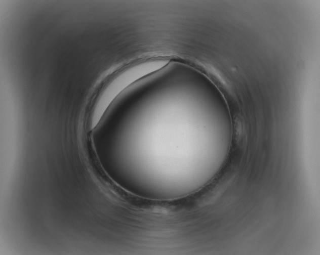 X0000113740684200909301011