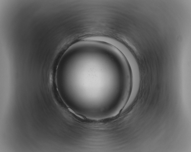 X0000113740685200909301011