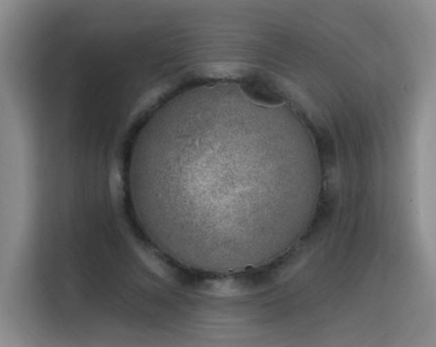 X0000113740688200909301011