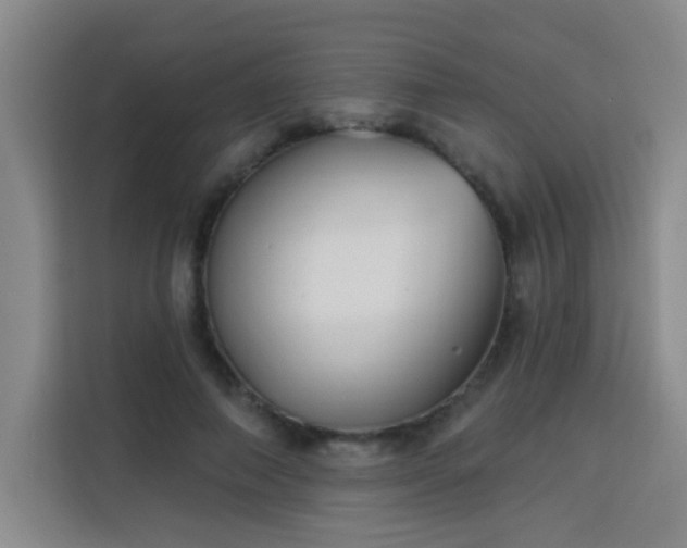 X0000113740690200909301011