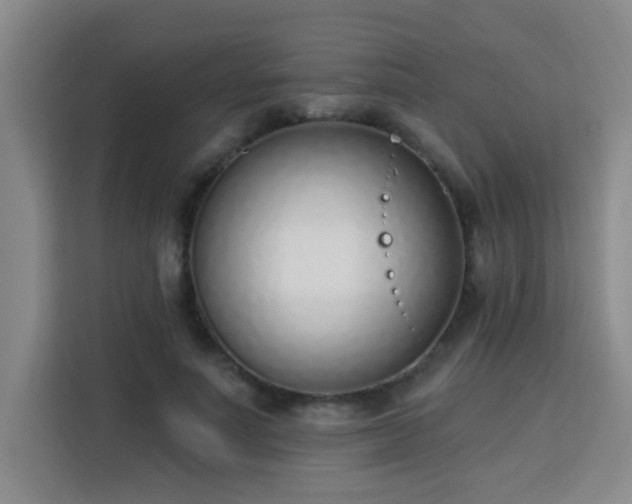 X0000113740691200909301011