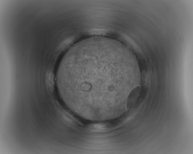 X0000113740692200909301011