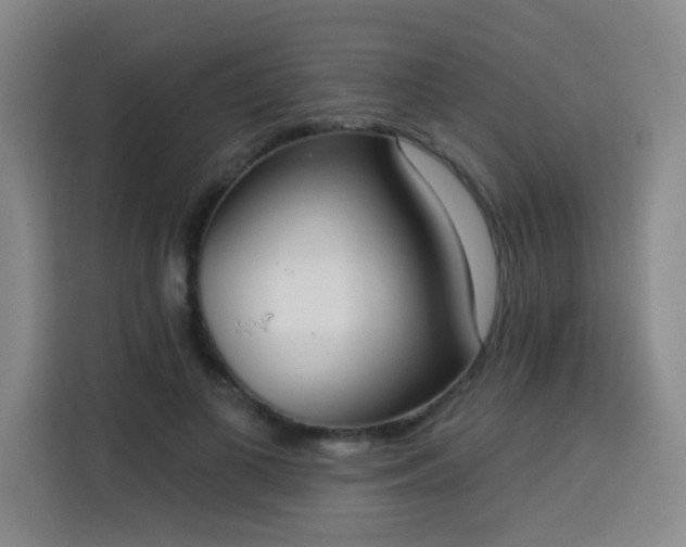 X0000113740693200909301011