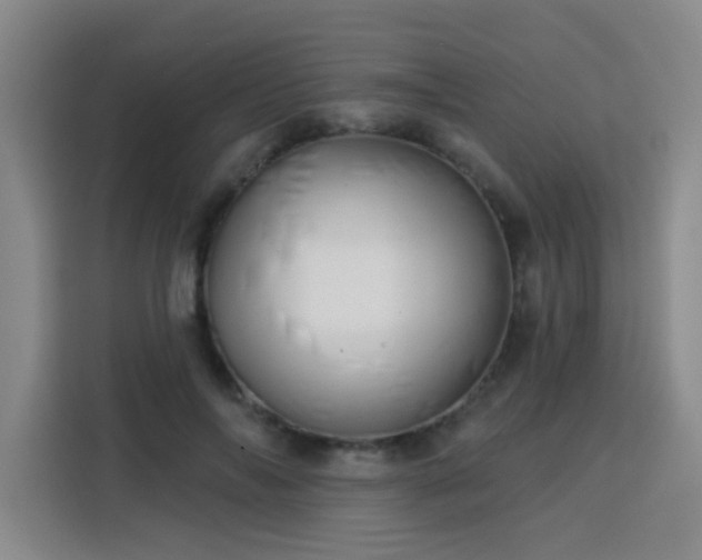 X0000113740694200909301011