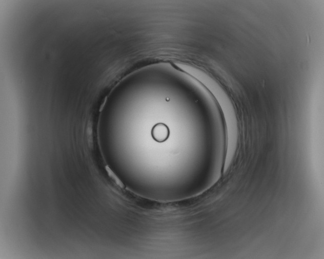 X0000113740696200909301011