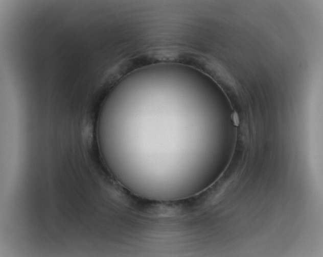 X0000113740697200909301011