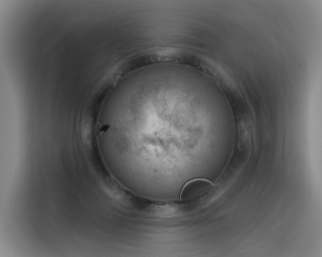 X0000113740698200909301011