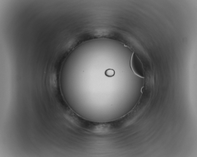 X0000113740700200909301011