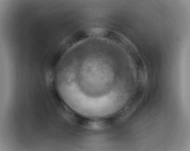 X0000113740701200909301011