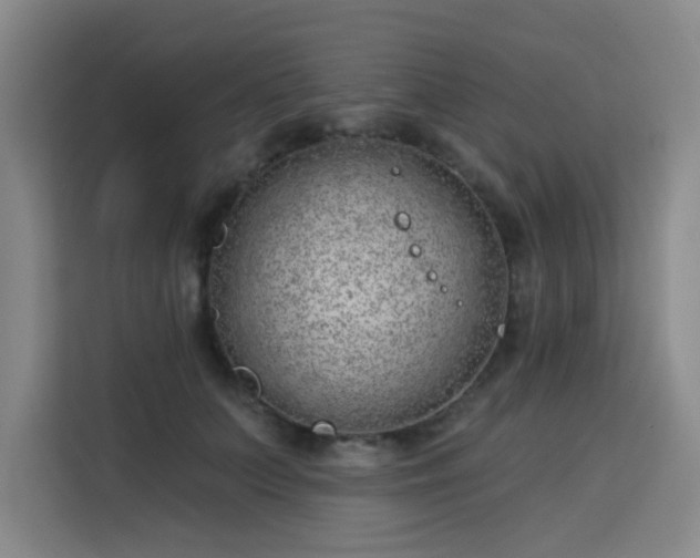 X0000113740703200909301011