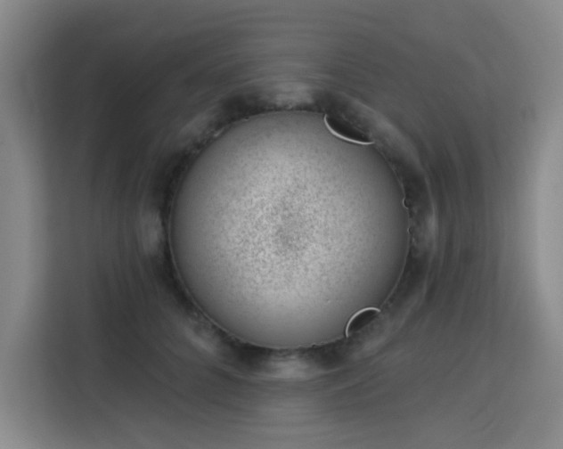 X0000113740704200909301011