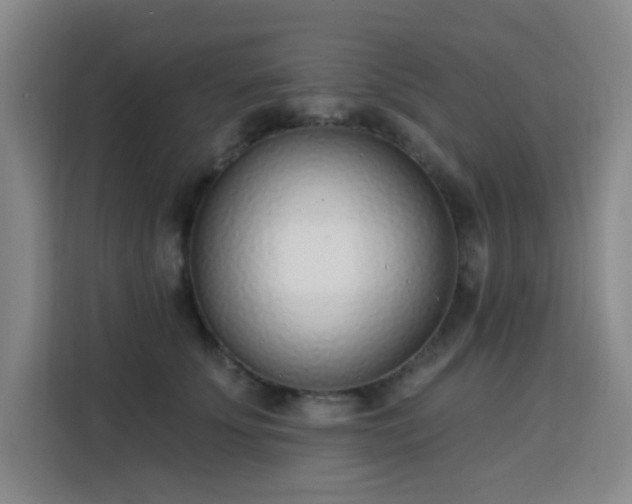 X0000113740707200909301011