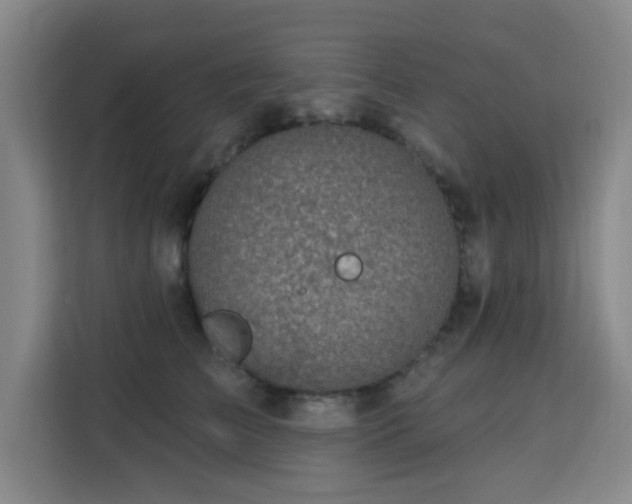 X0000113740709200909301011