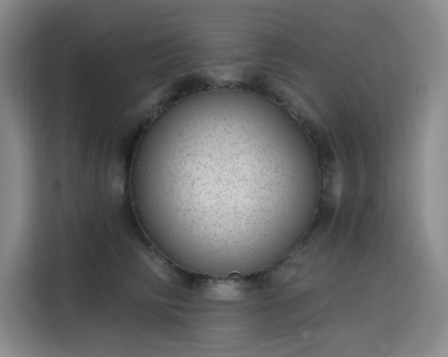 X0000113740710200909301011