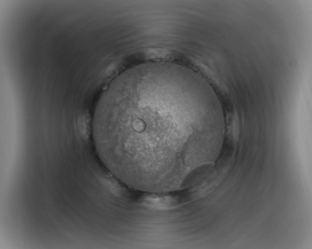 X0000113740712200909301011