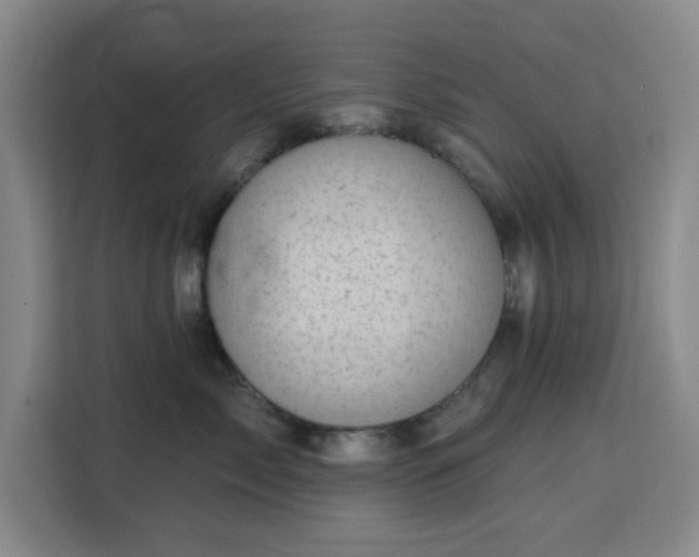 X0000113740717200909301011