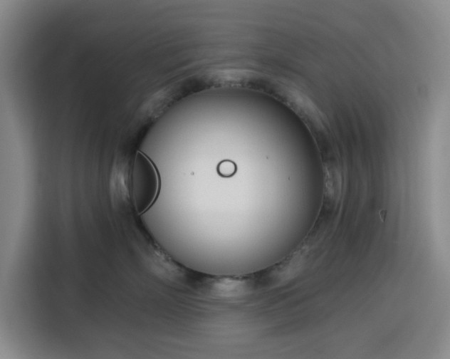 X0000113740718200909301011