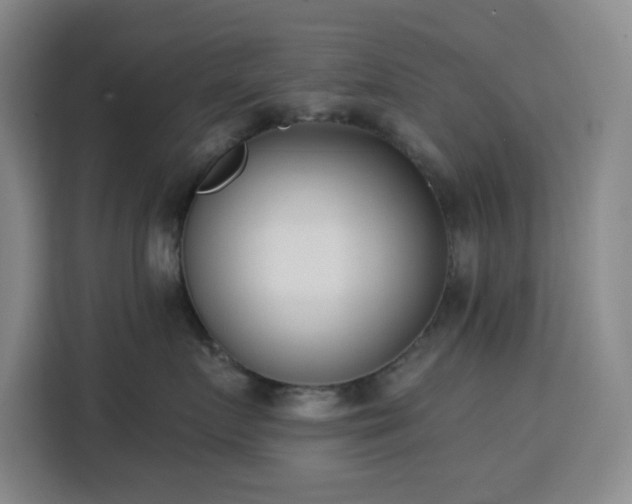 X0000113740719200909301011