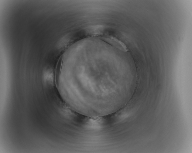 X0000113740720200909301011