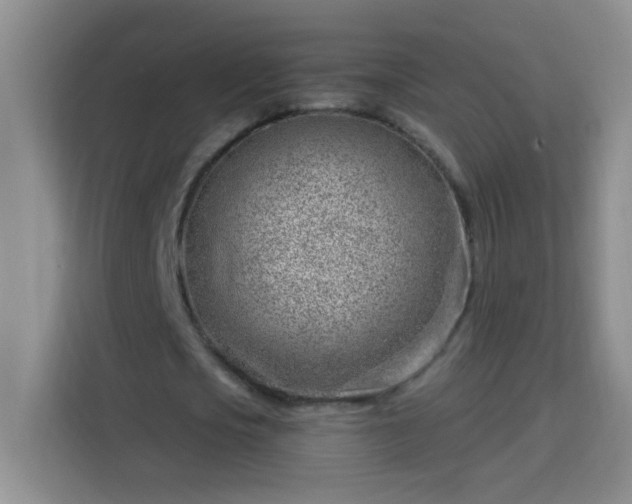 X0000113740721200909301010