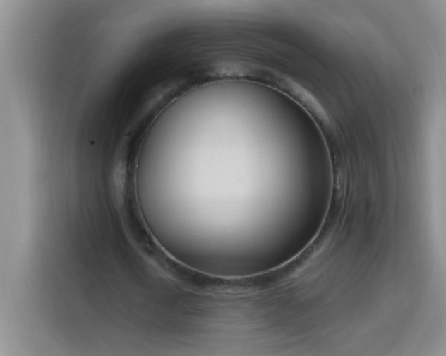 X0000113740722200909301010